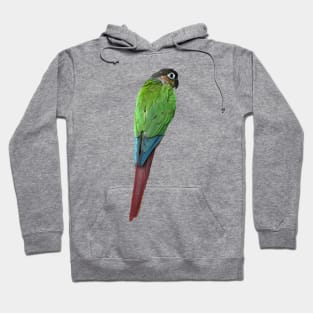 Green Cheek Conure Parrot Bird design, Love for birds Hoodie